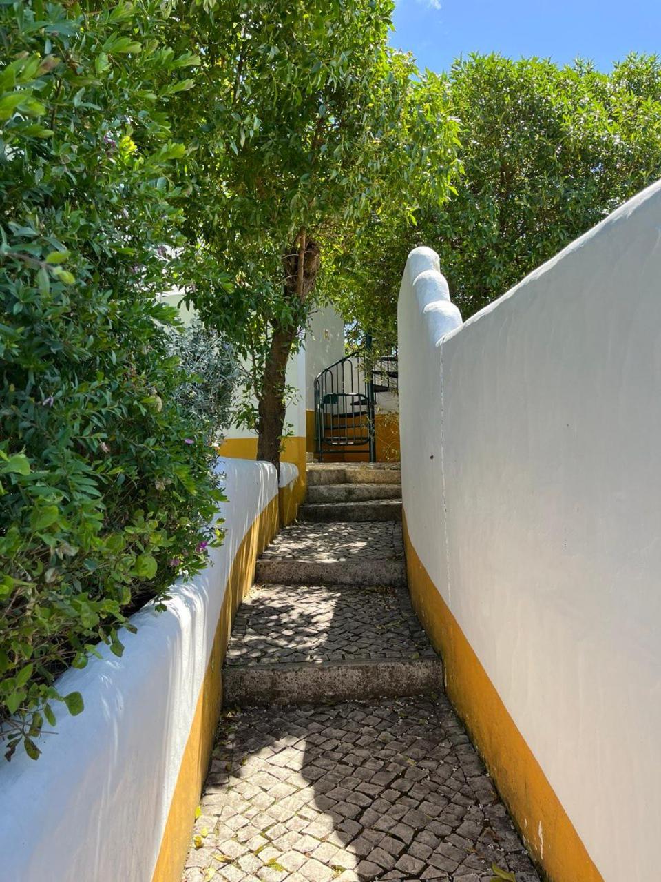 Quinta Laranja - Turismo Rural - Alvorninha Экстерьер фото